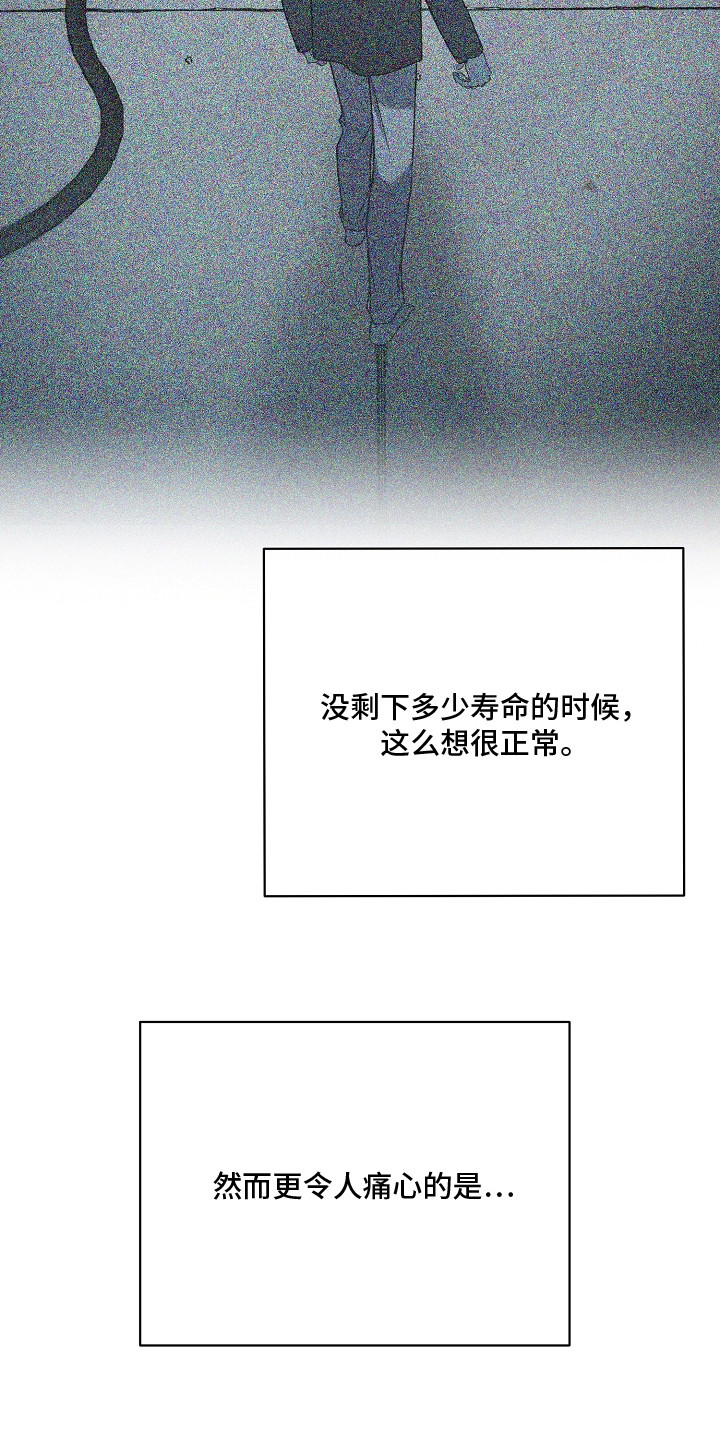 谎言尽头是爱你漫画,第22章：解释4图