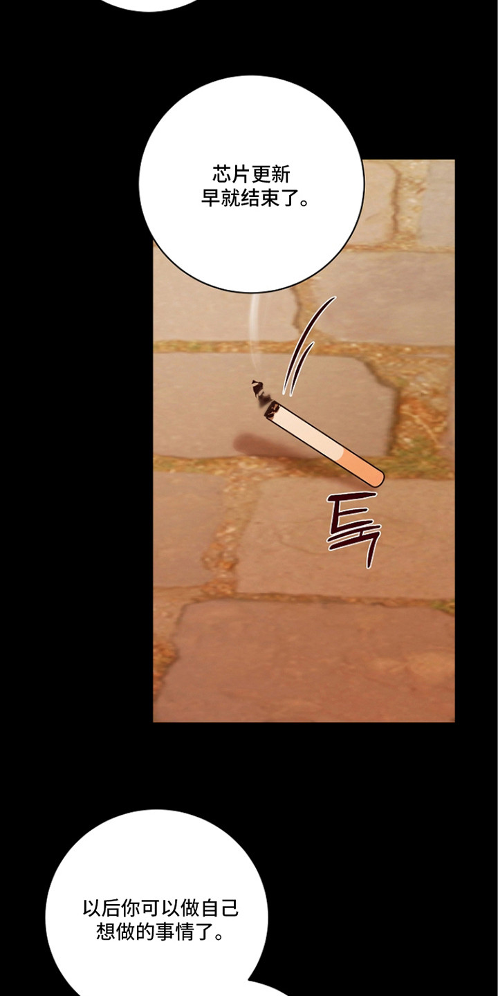 谎言尽头是爱你漫画,第19章：地下室2图
