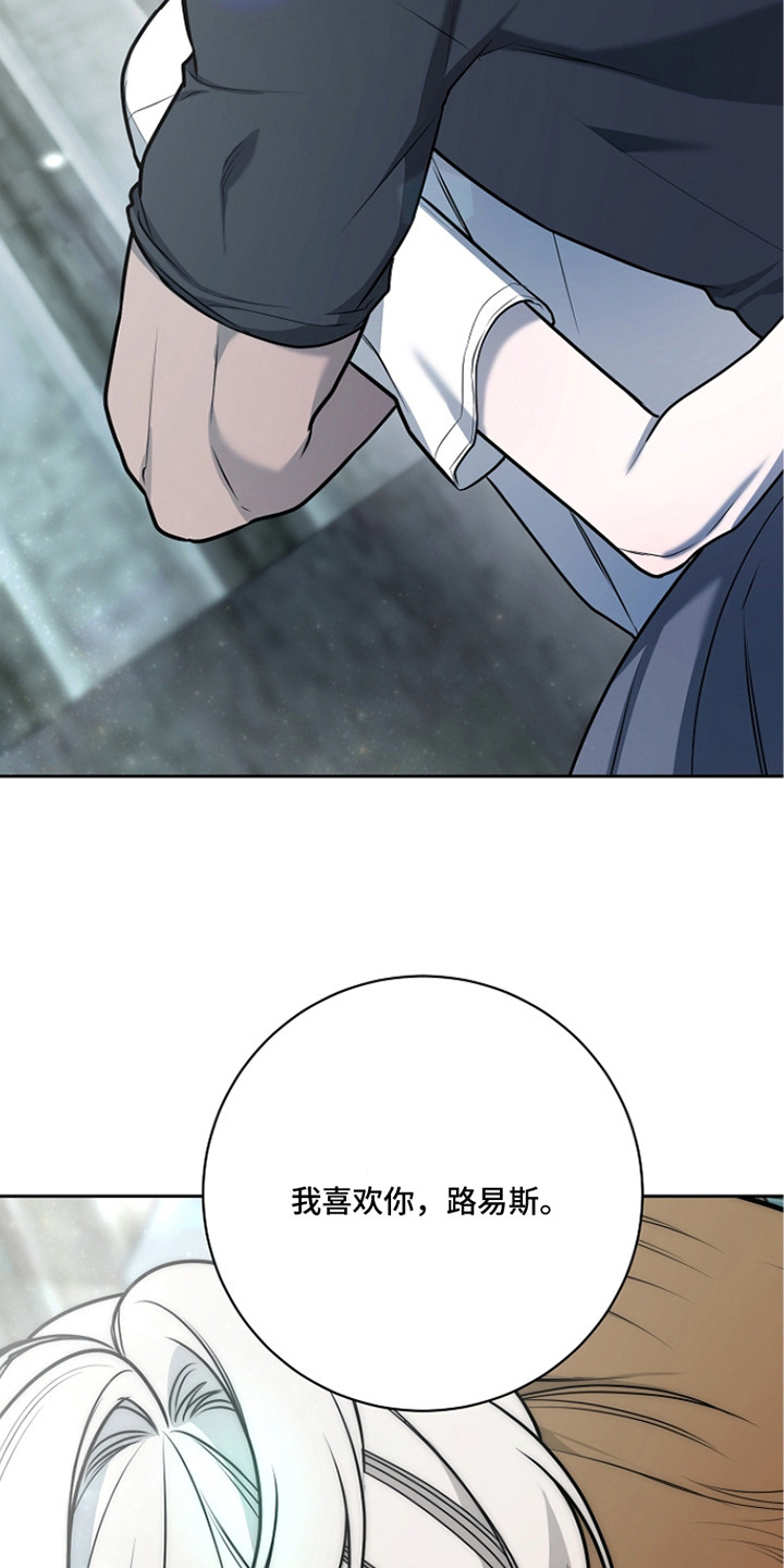谎言尽头是爱你漫画,第13章：表白2图