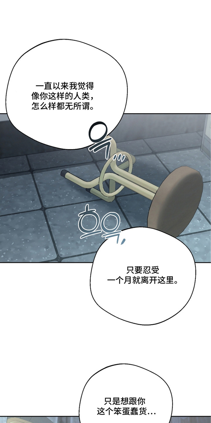 谎言尽头是爱你漫画,第13章：表白4图