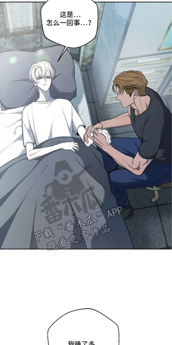 谎言尽头是爱你漫画,第13章：表白4图