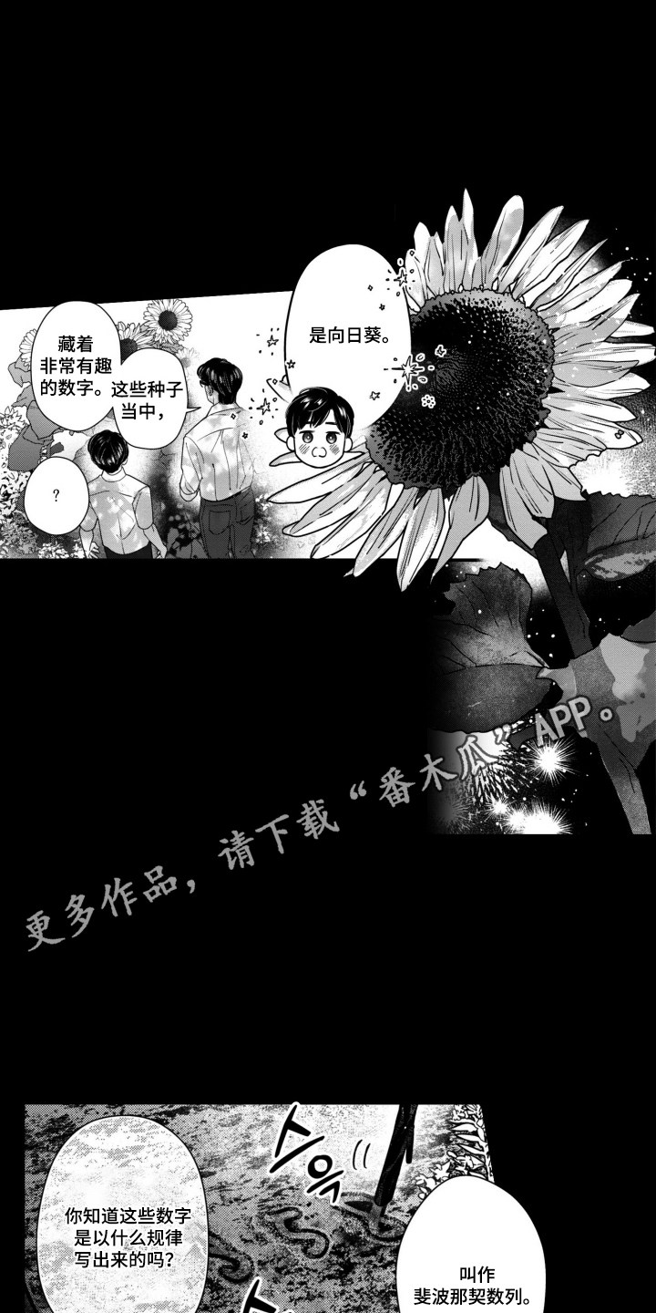 斐波那契的意思漫画,第6章：向日葵4图