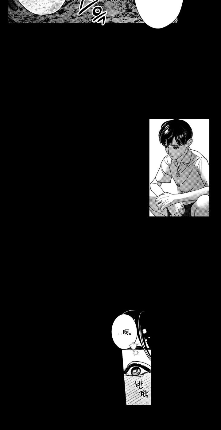 斐波那契的意思漫画,第6章：向日葵5图