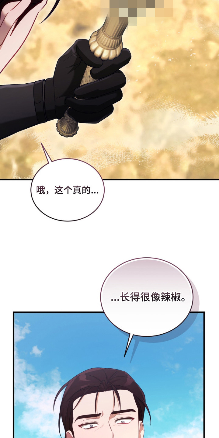 人形之笛星盗结局漫画,第2章：笛子5图