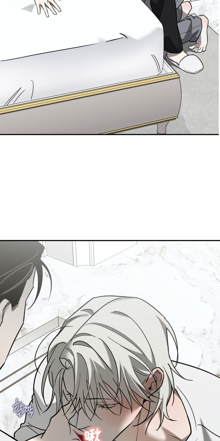 致命醇香漫画,第4章：鉴别红酒1图