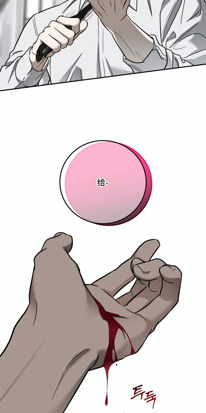 致命醇香漫画,第4章：鉴别红酒3图
