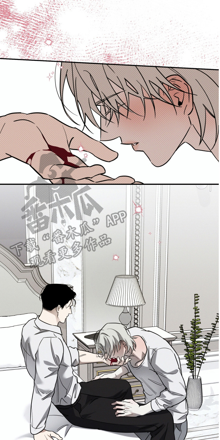 致命醇香漫画,第4章：鉴别红酒5图