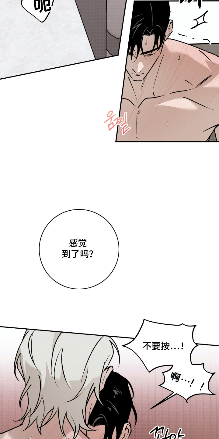 致命醇香漫画,第21章：乖乖躺着1图