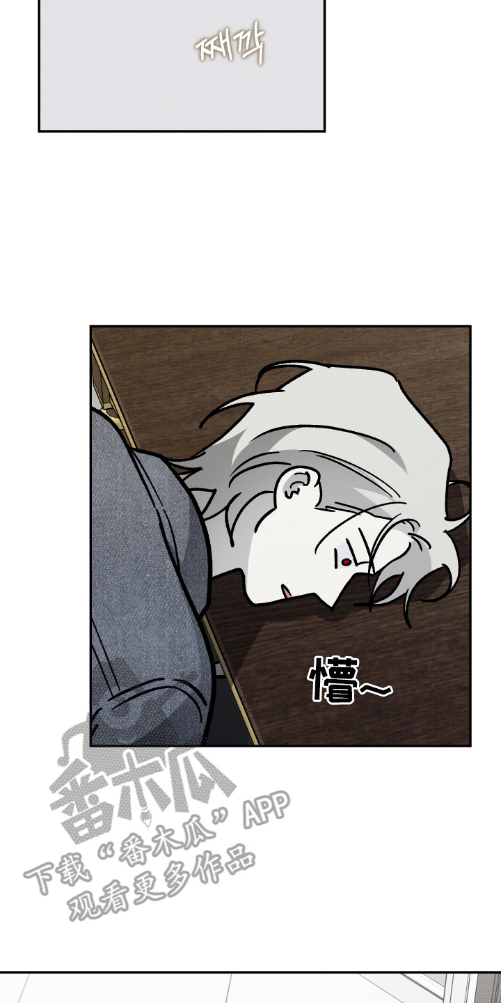 致命醇香漫画,第11章：告白4图