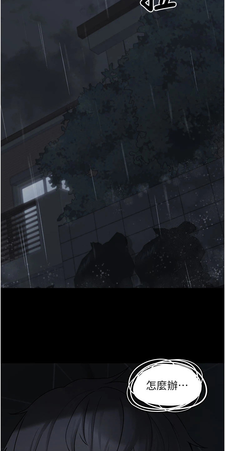 萌系宠物漫画图片漫画,第1章：相遇1图