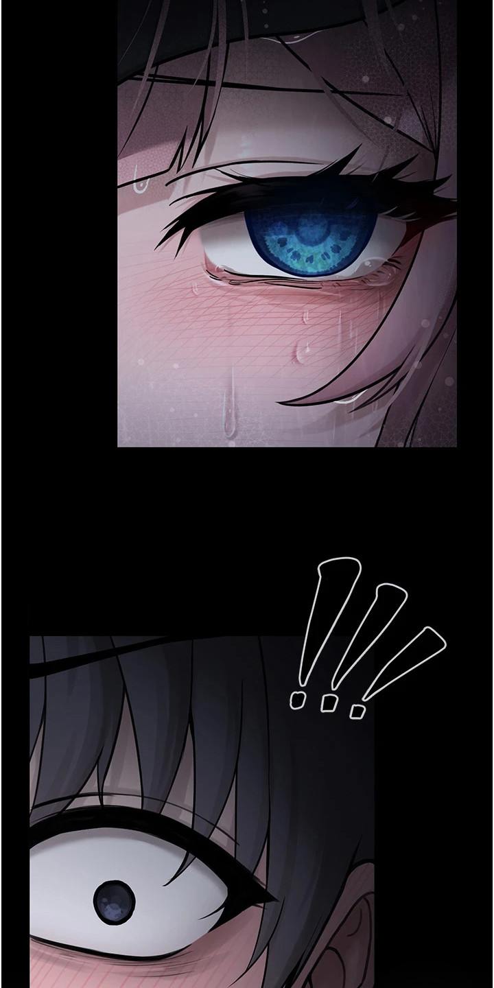 萌系宠物漫画图片漫画,第1章：相遇5图