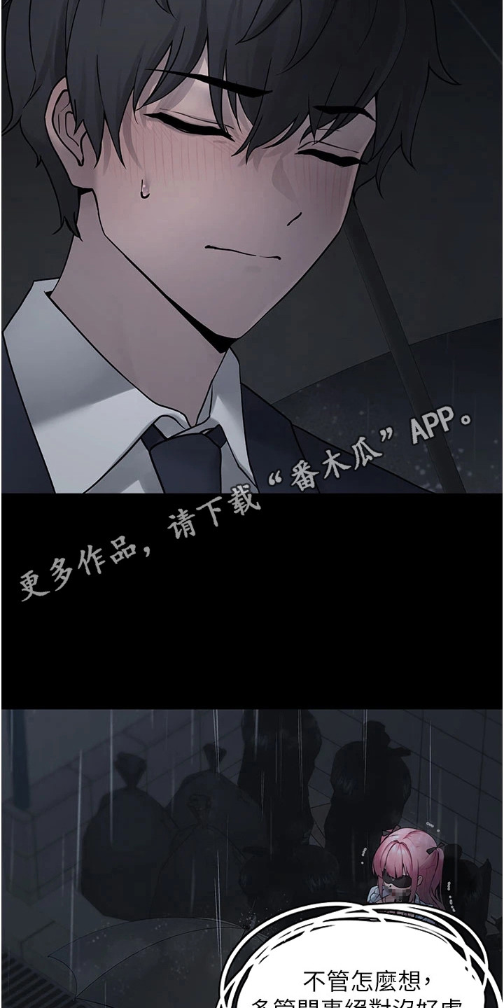 萌系宠物漫画图片漫画,第1章：相遇2图