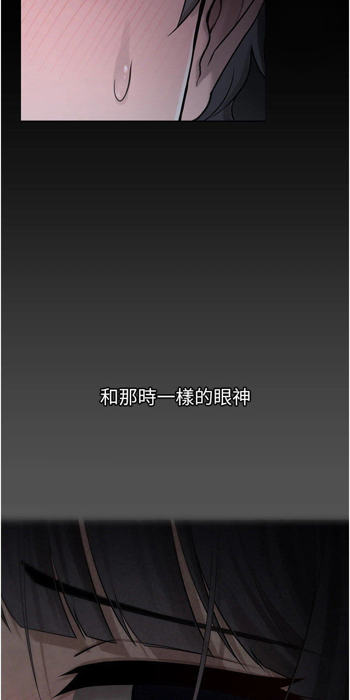 萌系宠物漫画图片漫画,第1章：相遇1图