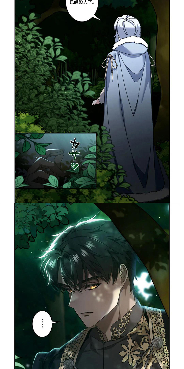 第11章：出来吧3