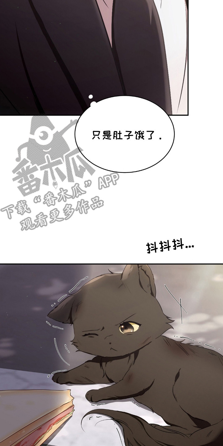 我的黑猫少年漫画,第2章：黑猫4图