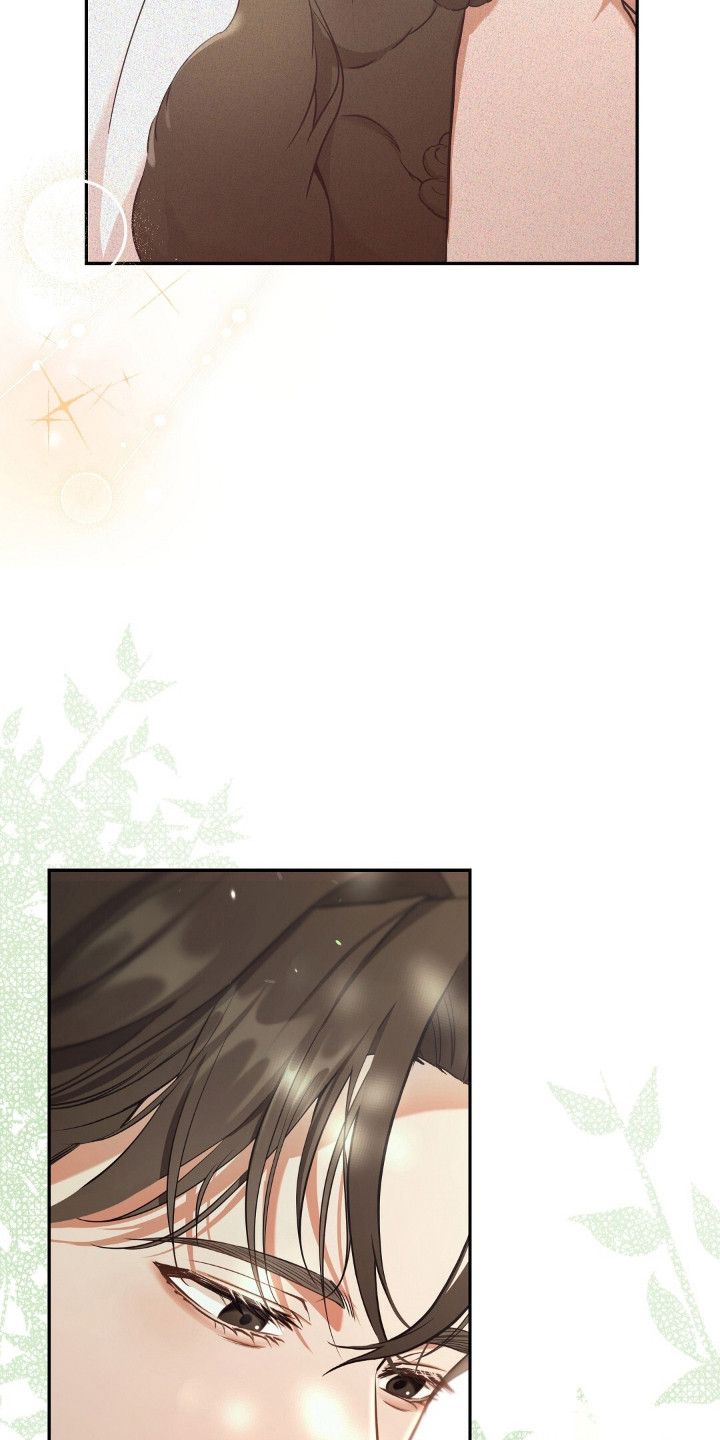 我的黑猫少年漫画漫画,第3章：得养它4图