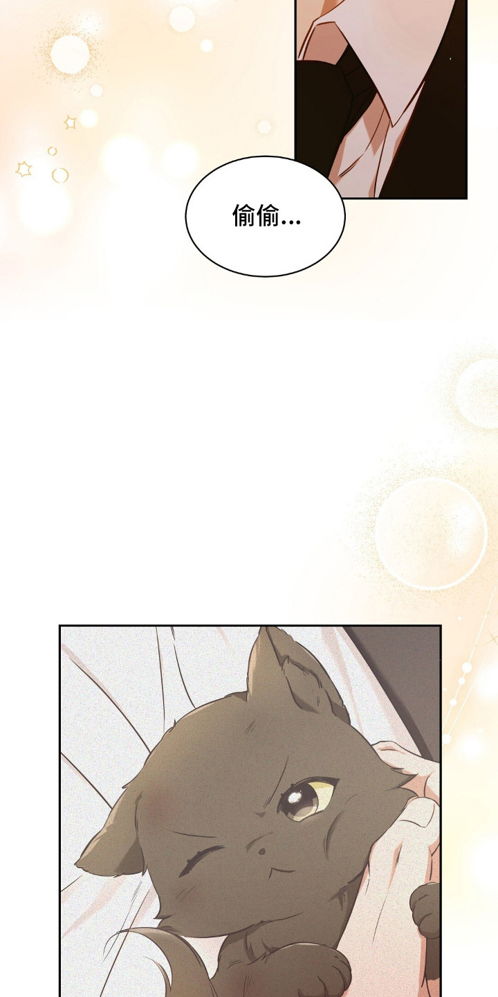 我的黑猫少年漫画漫画,第3章：得养它3图