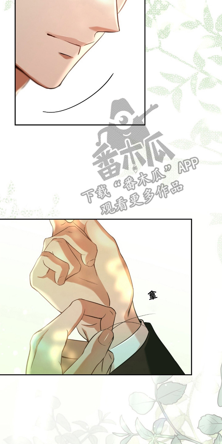 我的黑猫少年漫画漫画,第3章：得养它5图
