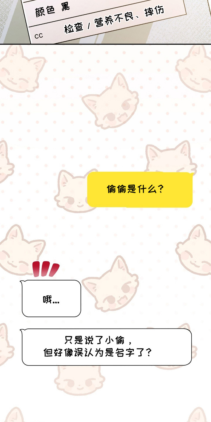 我的黑猫少年剧情漫画,第3章：得养它5图