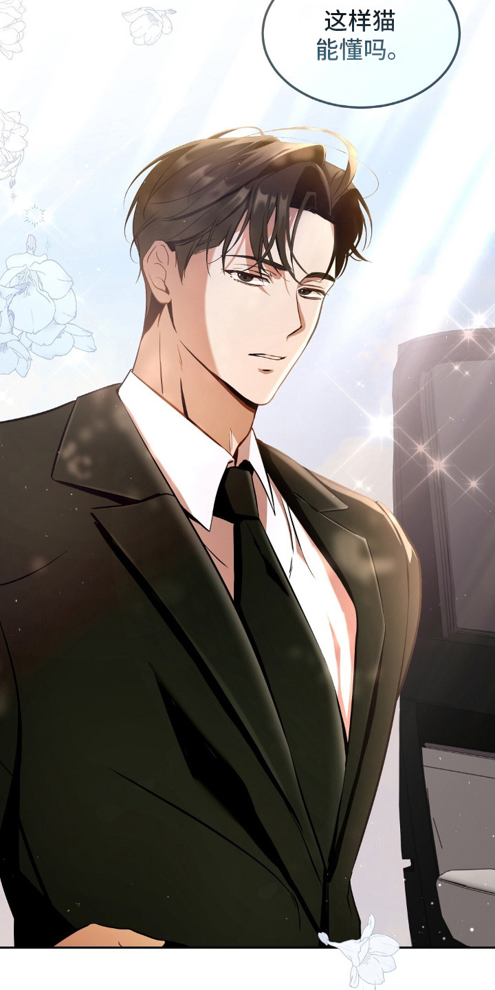 我的黑猫少年漫画,第2章：黑猫3图