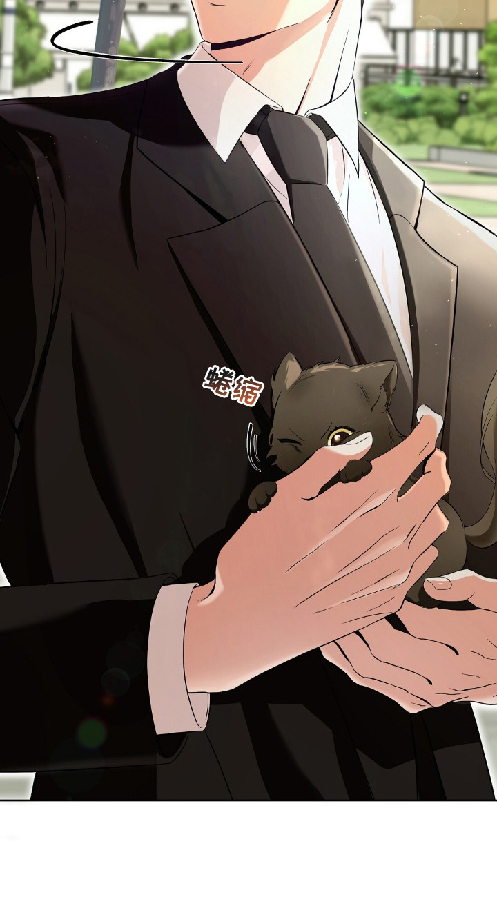 我的黑猫少年漫画,第2章：黑猫2图