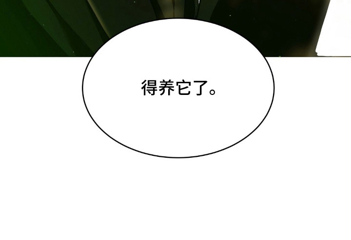 我的黑猫少年剧情漫画,第3章：得养它2图