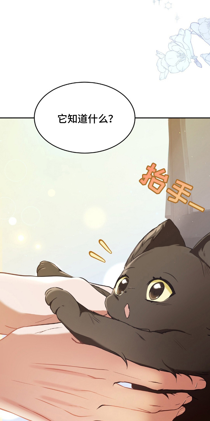 我的黑猫少年漫画,第2章：黑猫4图