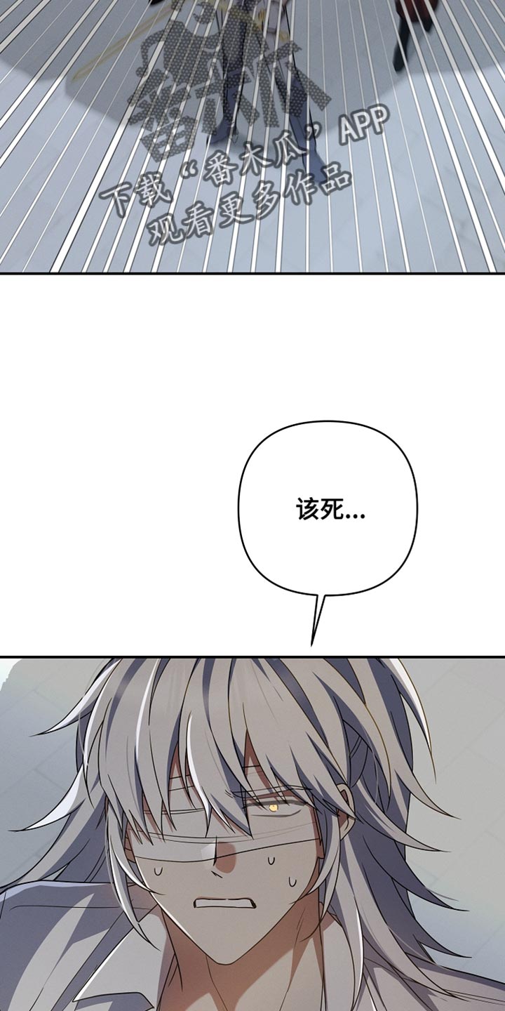 第56章：守护了城市0