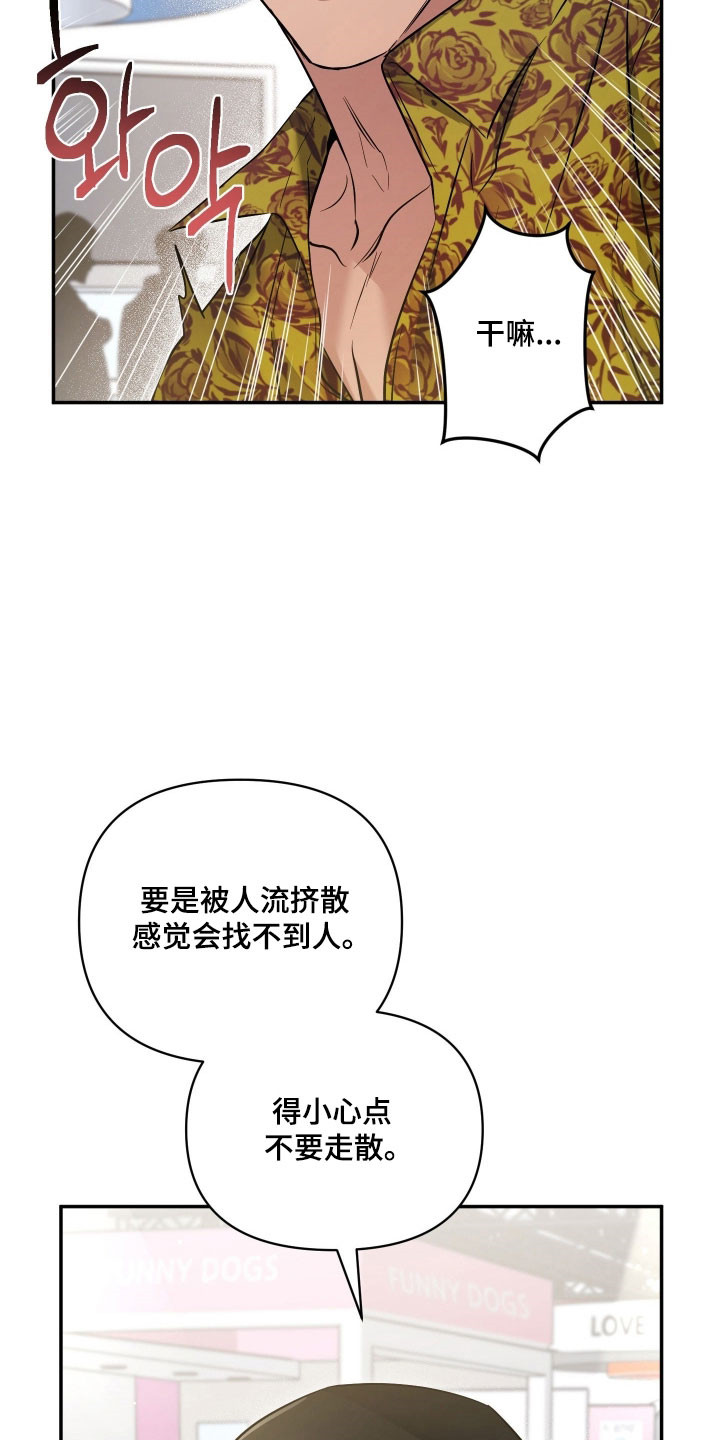 绝对复仇宣言韩漫漫画,第33章：宠物展3图