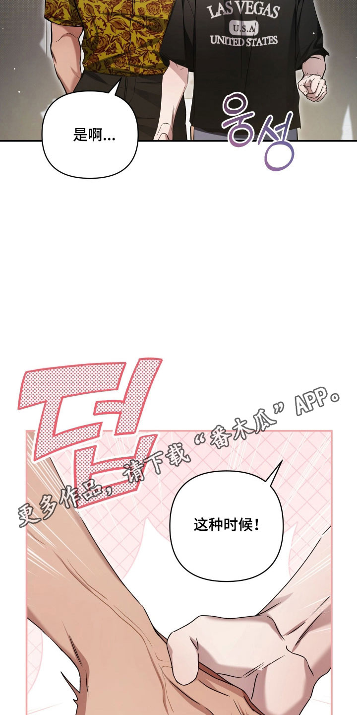 绝对复仇宣言韩漫漫画,第33章：宠物展1图