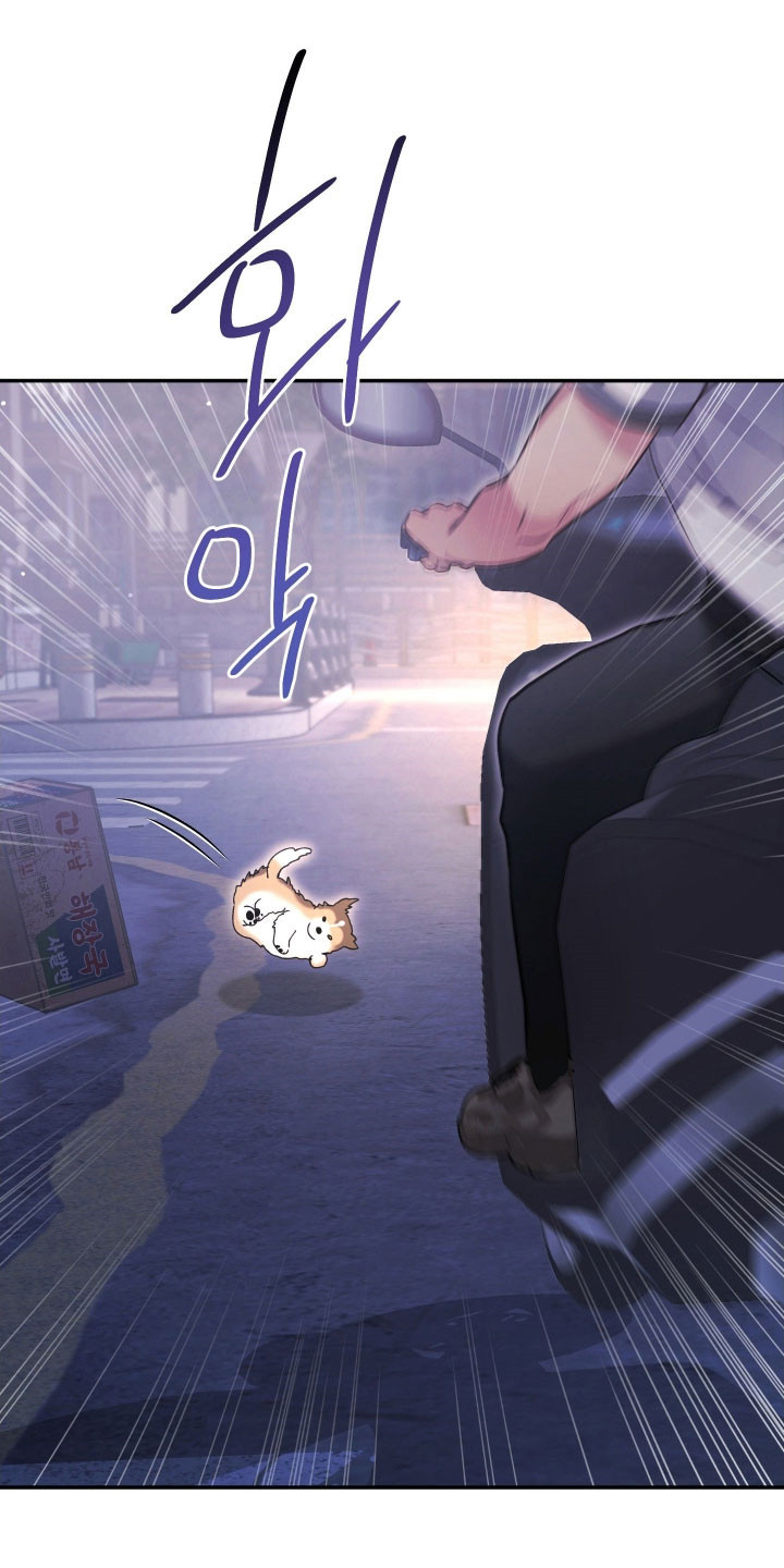 第40章：发生意外3