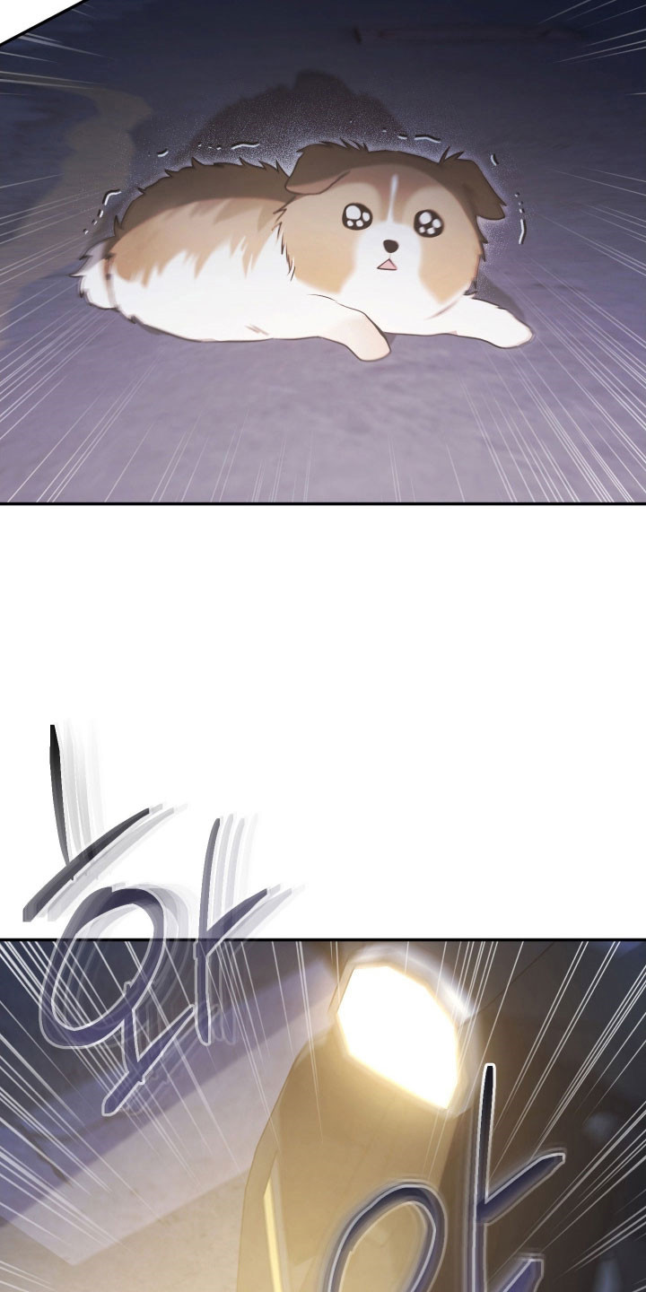 第40章：发生意外0