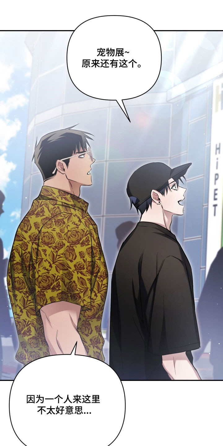 绝对复仇宣言韩漫漫画,第33章：宠物展2图