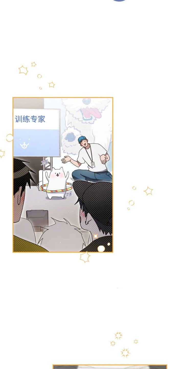 绝对复仇宣言韩漫漫画,第34章：无限心动4图