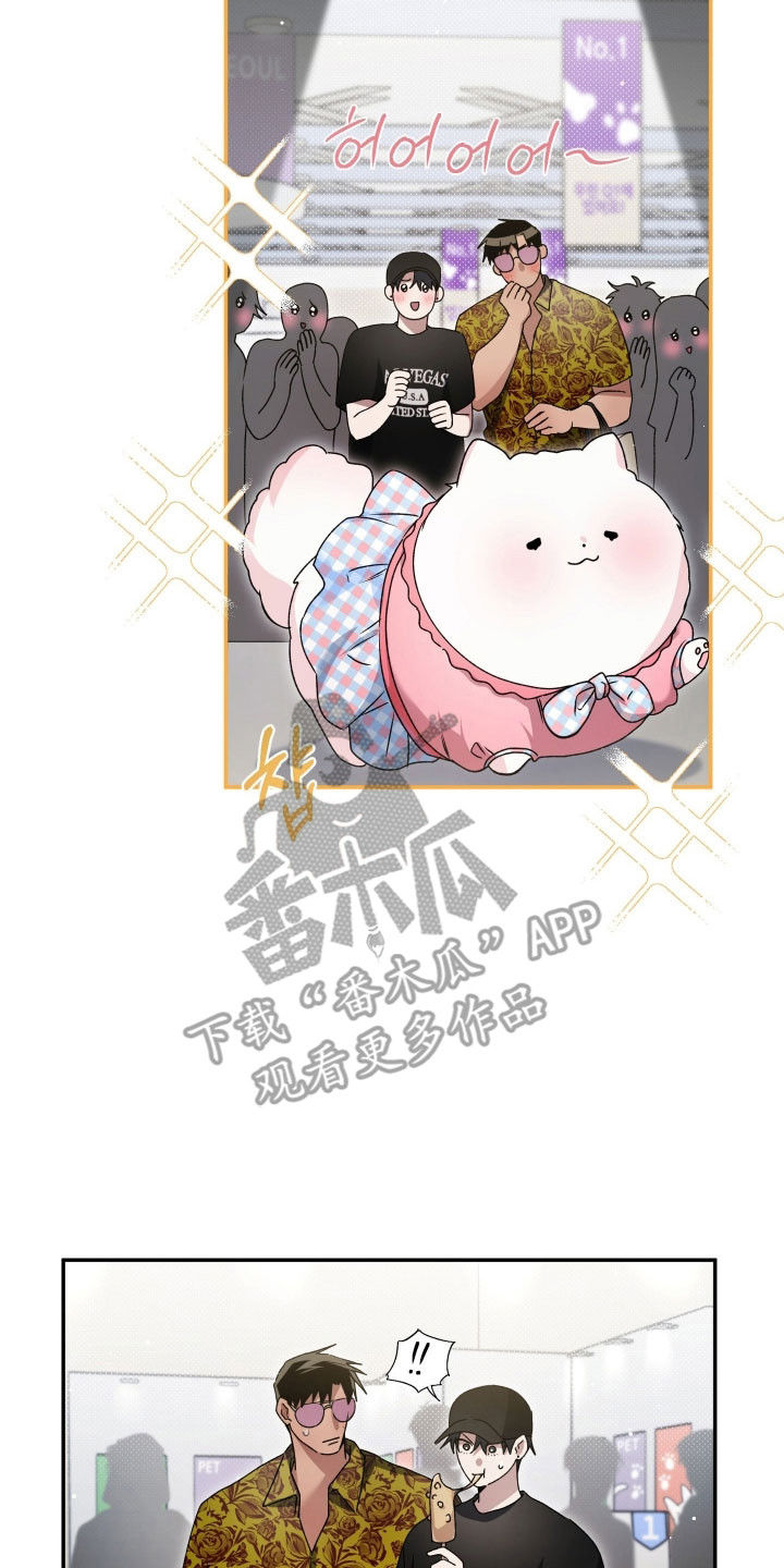 绝对复仇宣言韩漫漫画,第34章：无限心动5图