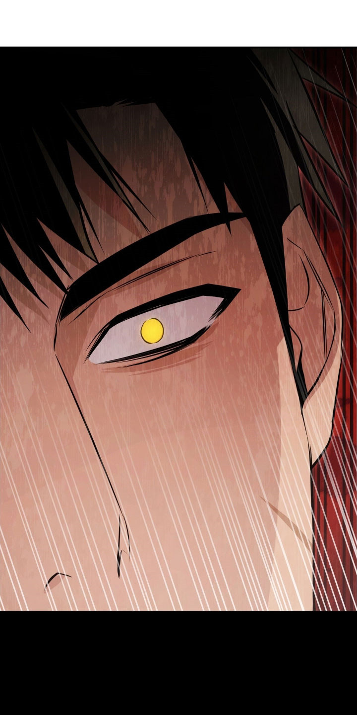 绝对复仇下载漫画,第36章：被人偷袭5图