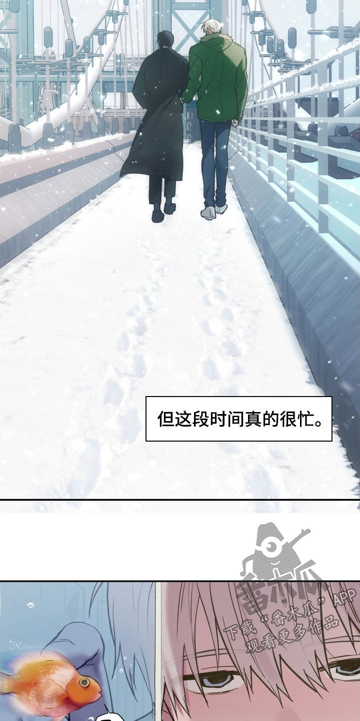 我的小笨熊漫画,第99章：【第二季】复职3图