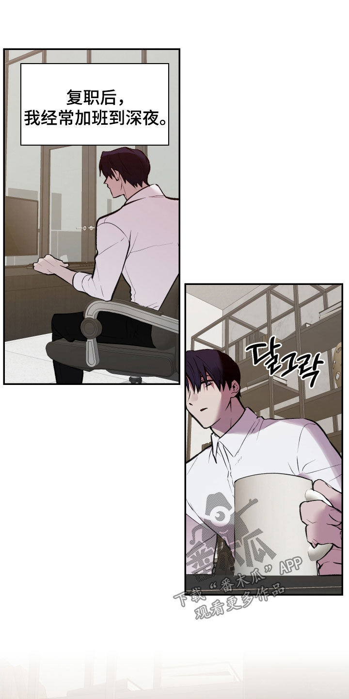 我的小笨熊漫画,第99章：【第二季】复职2图
