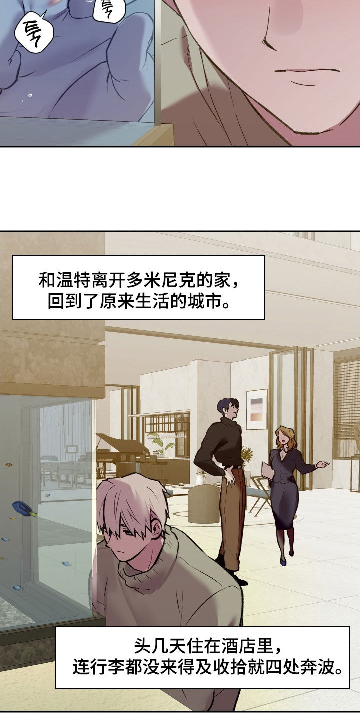 我的小笨熊漫画,第99章：【第二季】复职4图