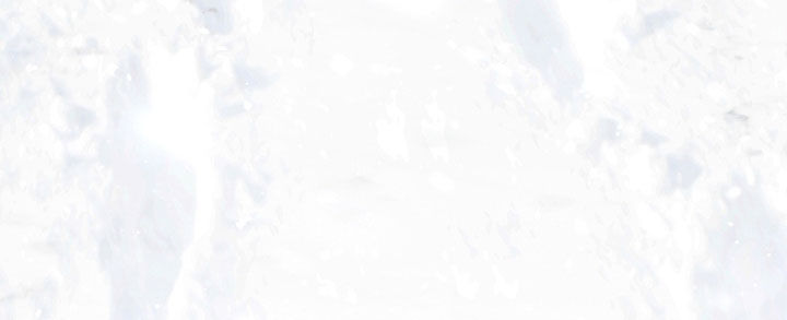 我的小笨熊漫画,第98章：【第二季完结】已经是我的了5图