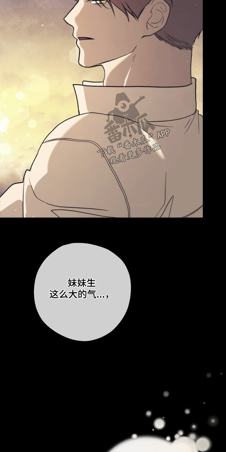 潮鸣之时画涯在哪看漫画,第42章：已经是万幸5图