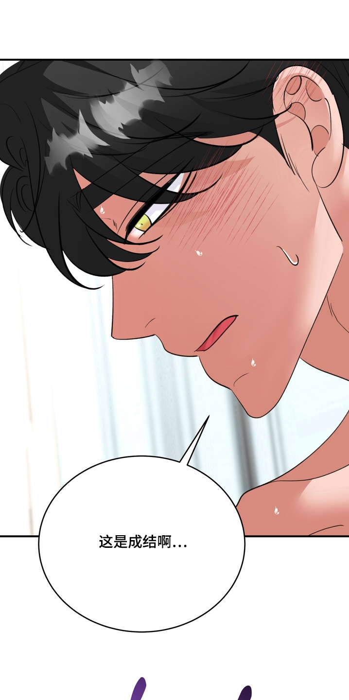 本能牢笼漫画,第39章：很快结束5图