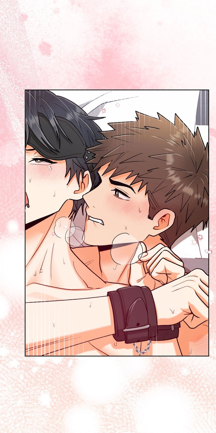 朋友的遗愿清单漫画,第68章：【第二季完结】幸福就好2图
