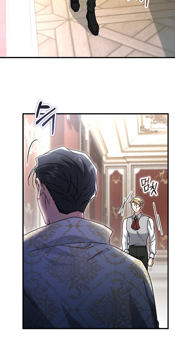 第48章：【番外】别再学习魔法3