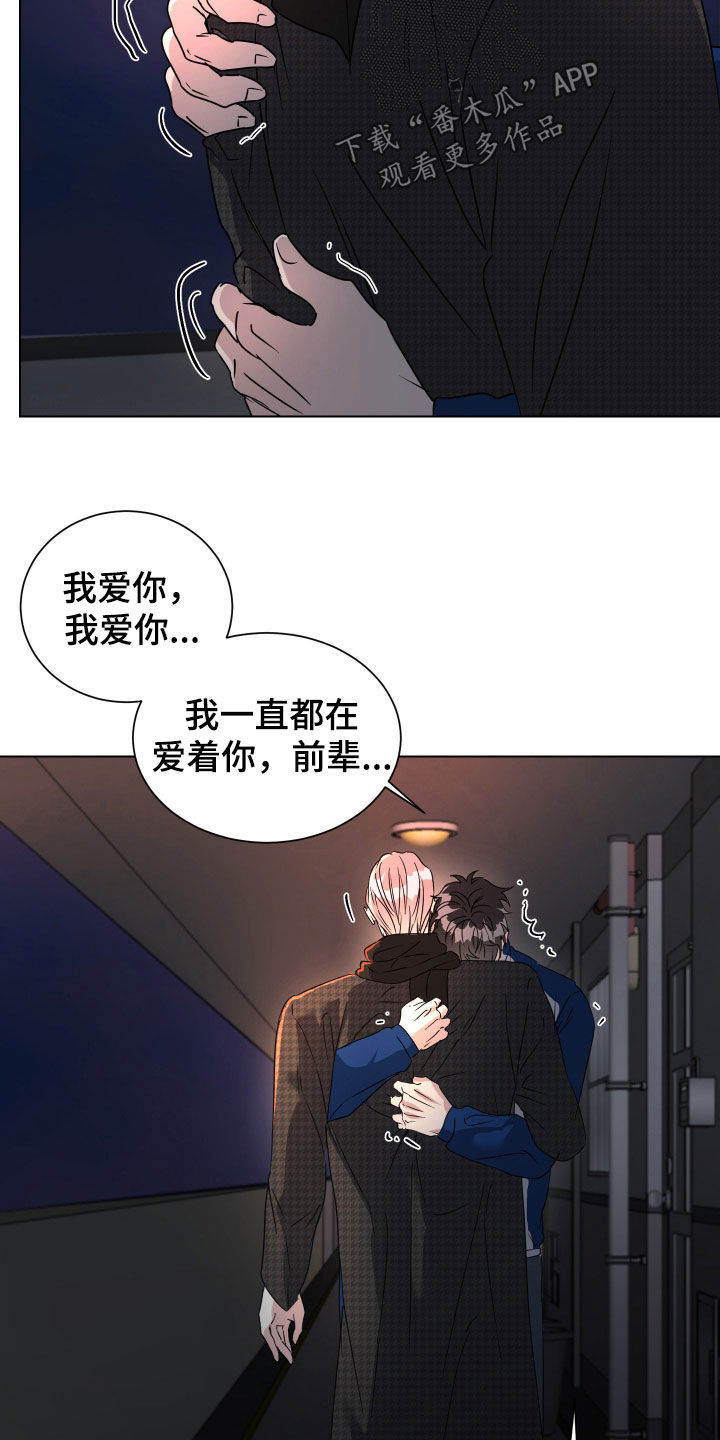 红蛇梦魇漫画,第82章：【第二季完结】永远爱你5图
