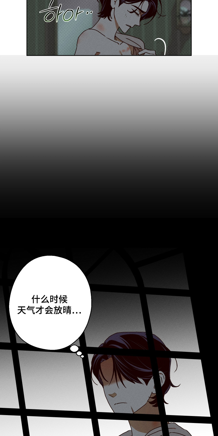 倒悬玫瑰漫画,第39章：葬礼5图