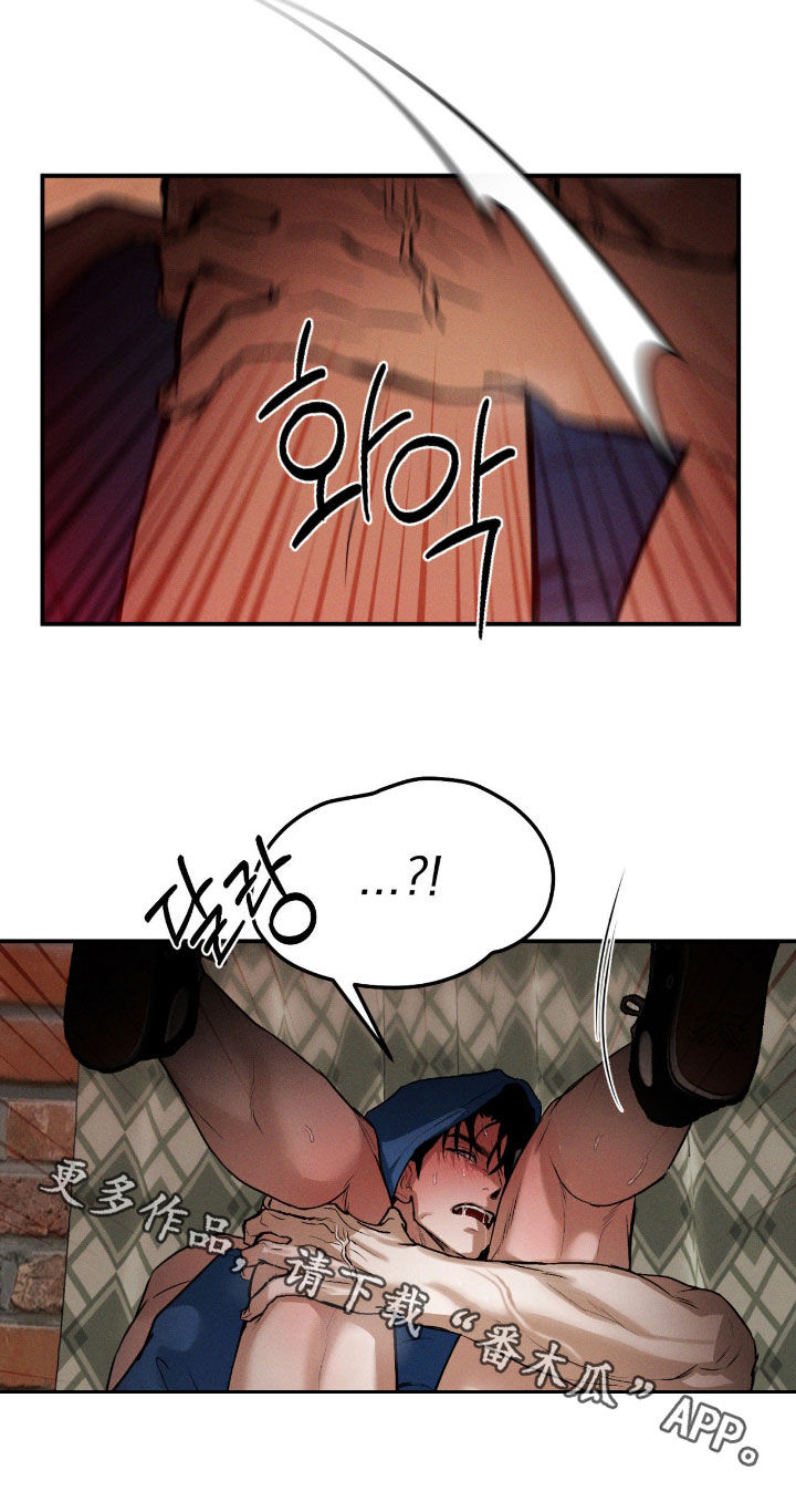 聚光灯下的安眠曲漫画,第94章：【第二季】猫咪3图