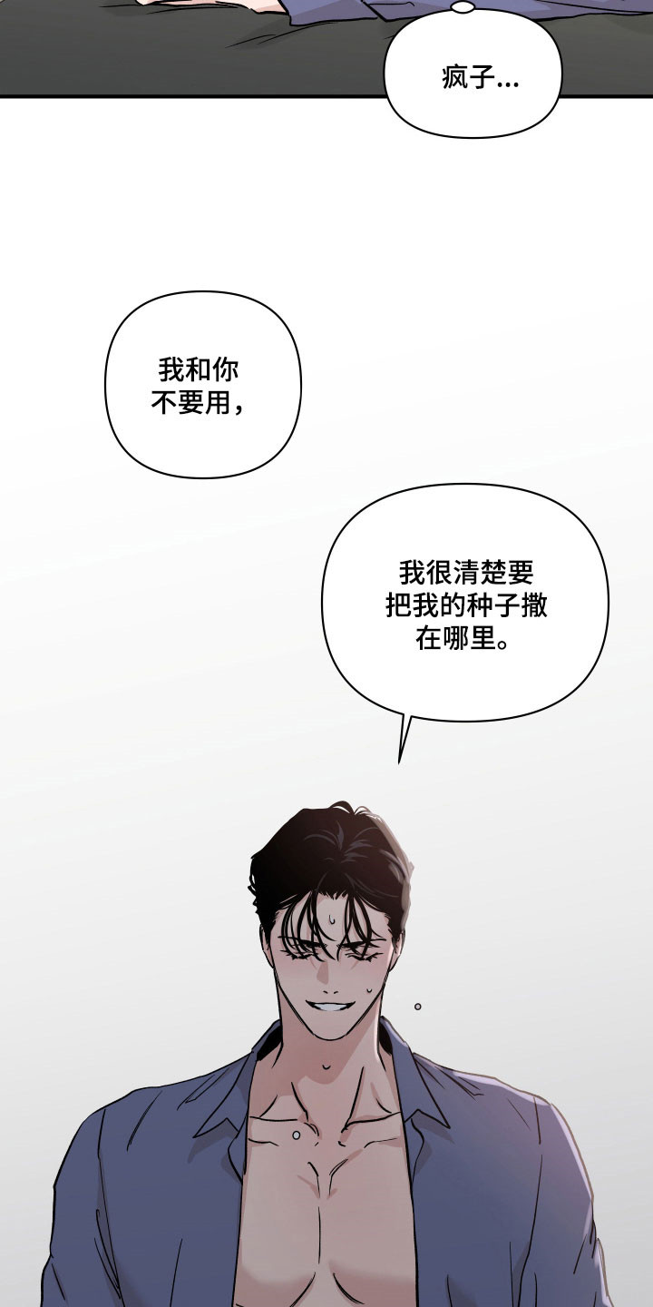 暗金色壁纸漫画,第41章：重新聊聊3图