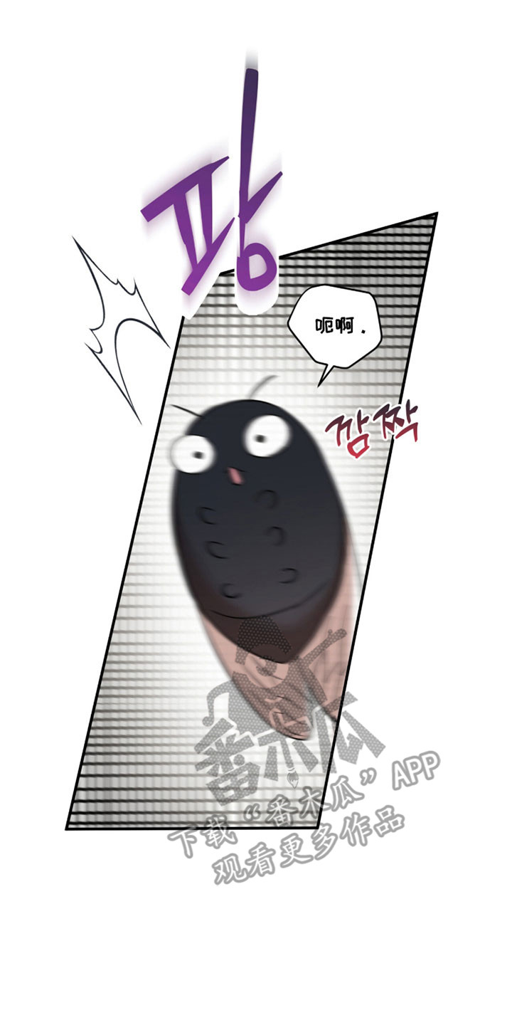 命运击绊漫画,第46章：证明价值5图