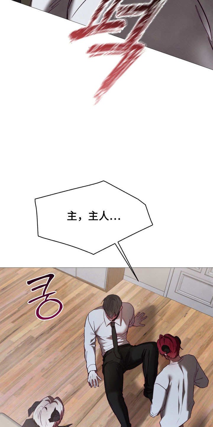 魅魔饲养法则弃养后续漫画,第46章：我喜欢你1图